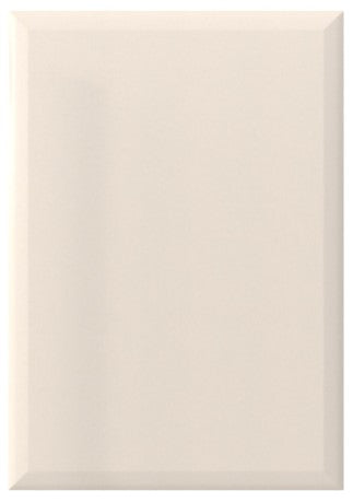 TIPP 36 PVC Door