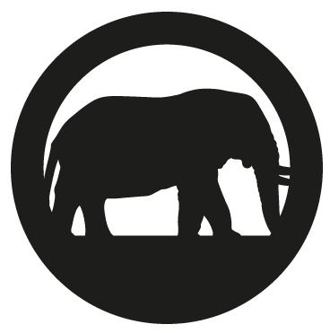 Pure SPC Max FLooring