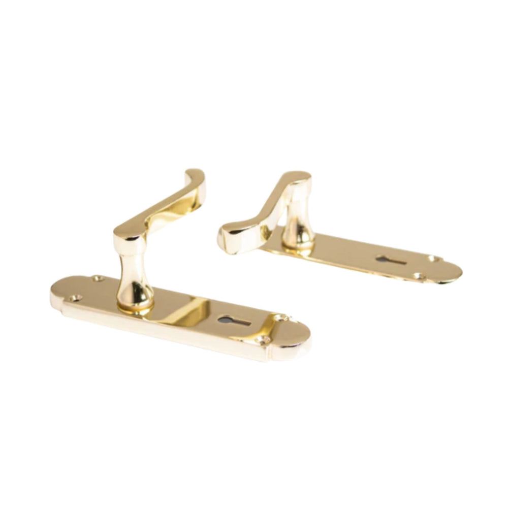 Pair of gold door handles on a white background