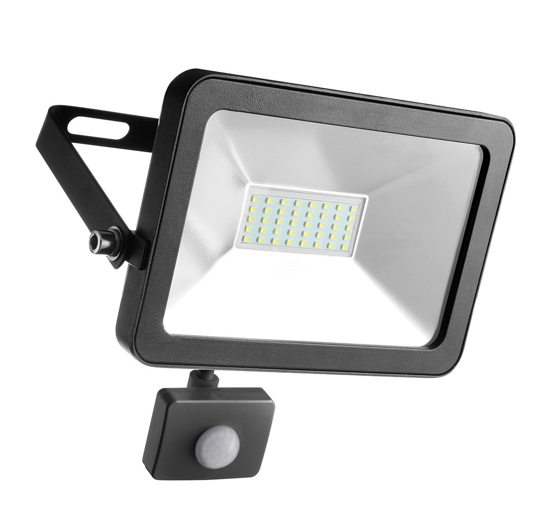 ProPlus 30w Floodlight & Motion Sensor