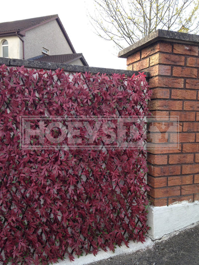GREENFX WILLOW TRELLIS RED ACER 2 MTRX 1 MTR
